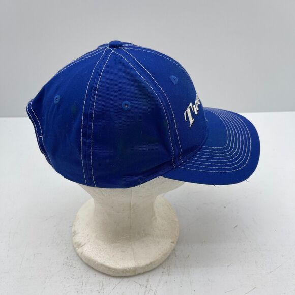 1998 Looney Tunes Tweety Bird Hat Cap Embroidered Blue Strapback Vintage - Picture 4 of 13